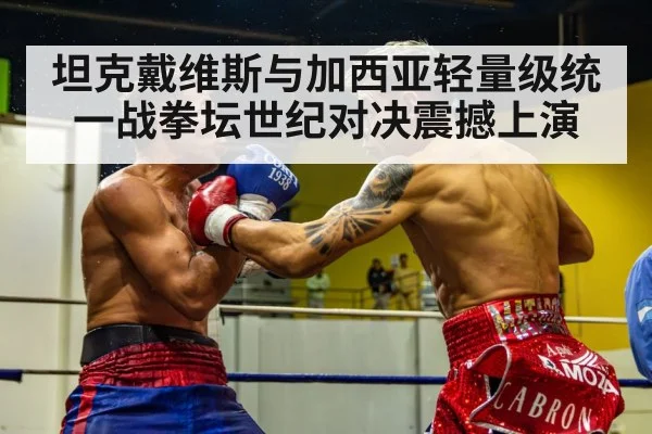 坦克戴维斯与加西亚轻量级统一战拳坛世纪对决震撼上演