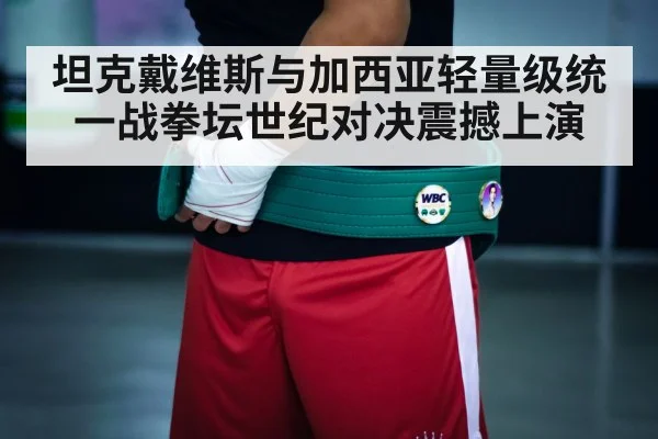 boxing championship belt