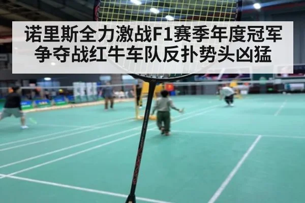 诺里斯全力激战F1赛季年度冠军争夺战红牛车队反扑势头凶猛